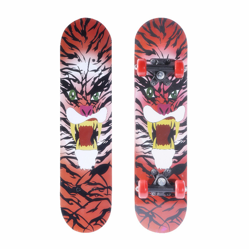tiger 2406 medium (60 cm long)